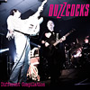 Buzzcocks bringen mit “A Different Compilation” alten Punk ins Jetzt
