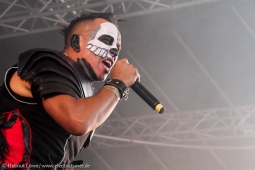amphi140726_bands_hl-64