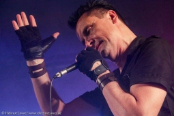 amphi140727_bands_hl-104
