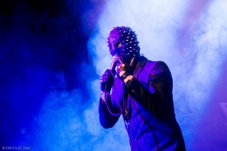 amphi180729_bands_hl-15