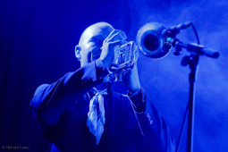 amphi-festival202407-bands-samstag-hl-2-7