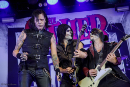 amphi-festival202407-bands-sonntag-hl-2-4