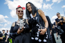 amphi-festival202407-besucher-hl-2-11