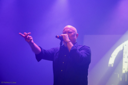 amphi-festival202607-bands-helmut-loewe-0746