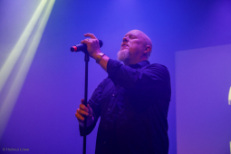 amphi-festival202607-bands-helmut-loewe-0749