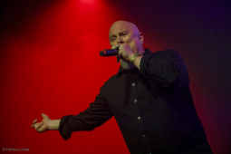 amphi-festival202607-bands-helmut-loewe-0763