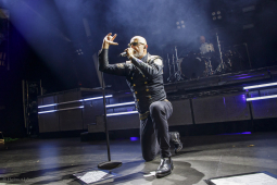 amphi-festival202607-bands-helmut-loewe-1000