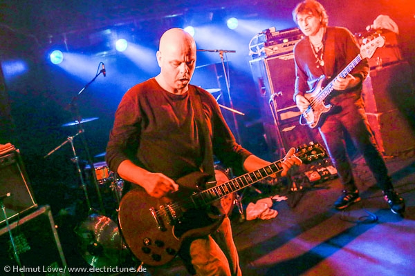 chameleonsvox150514_hl-28
