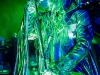 robzombie150803_hl-11