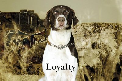 Cover von Phillip Boas Album Loyalty