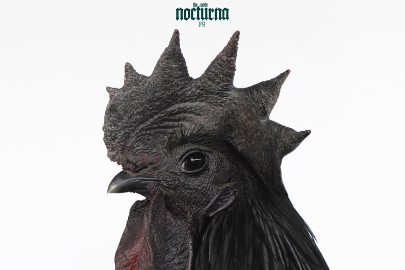 Cover von The Sades Album "Nocturna"