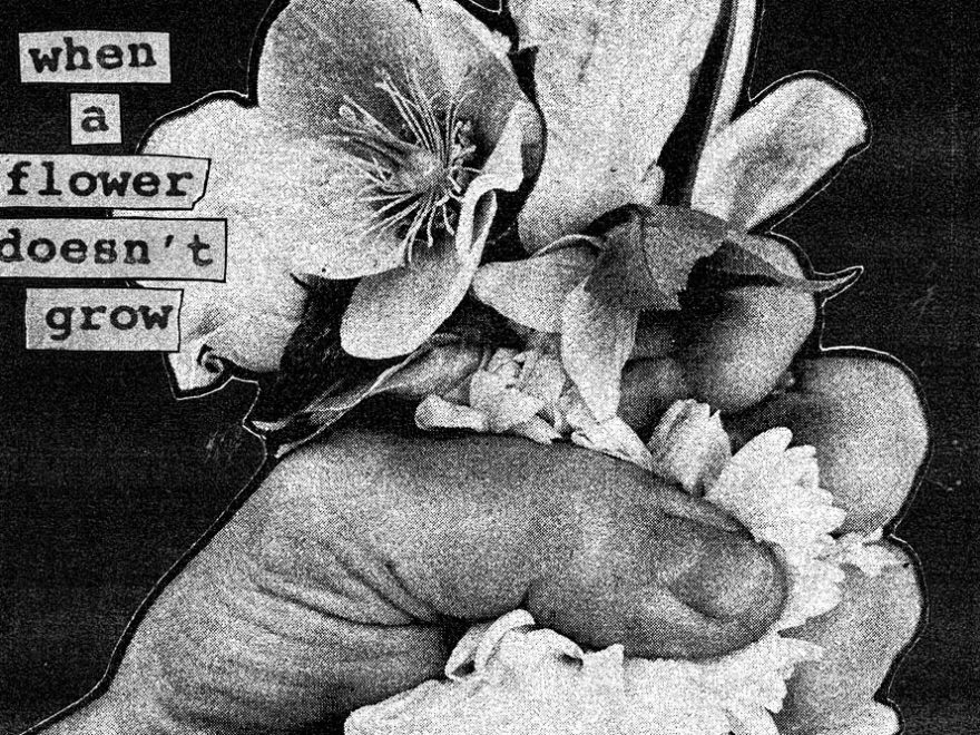 Cover des Albums „When a Flower doesn’t grow“ von Softcult